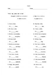 English Worksheet: TEST POSSESSIVE PRONOUNS