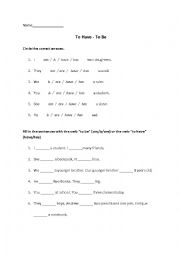 English Worksheet: To Be-To Have