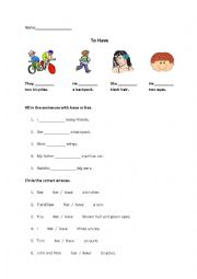 English Worksheet: To Have