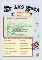 English Worksheet: So and Such