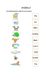 Animals - linking exercise