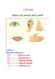 English Worksheet: The Five Senses
