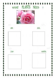 English Worksheet: WHAT PLANTS NEED 