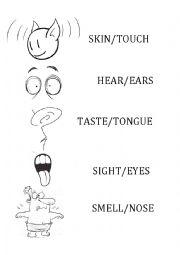 Senses Organs