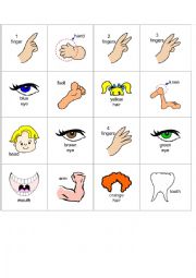 English Worksheet: Parts of the body