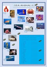 English Worksheet: Sea Animals