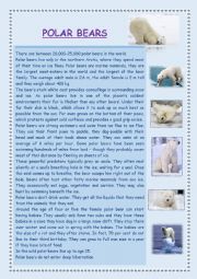 English Worksheet: Polar Bear