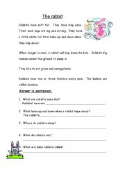 English Worksheet: The Rabbit