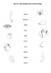 English Worksheet: Parts of the body