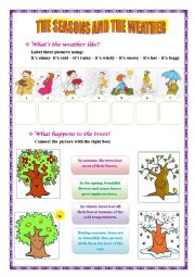 English Worksheet: weather and seasons