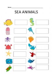 sea animals