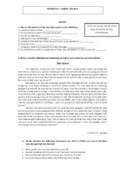 English Worksheet: Internet test
