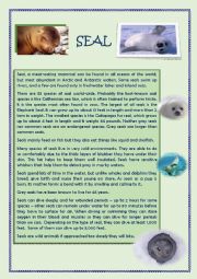 English Worksheet: Seals