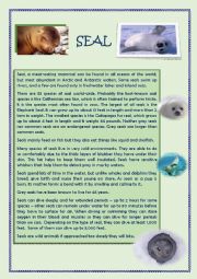 Seals