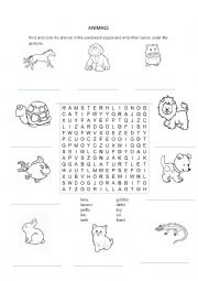 English Worksheet: animals