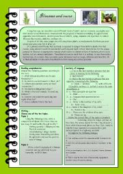 English Worksheet: illnesses and cures 
