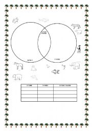 English Worksheet: Where do they live