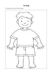 English Worksheet: The Body