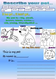 English Worksheet: Describe your pet