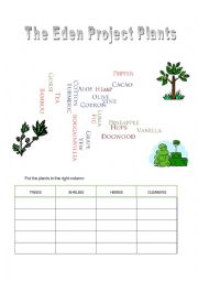 English Worksheet: The Eden Project Plants