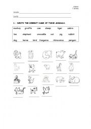 English Worksheet: ANIMALS