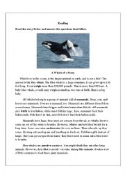 English Worksheet: A Whale