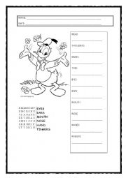 English Worksheet: PARTS OF THE BODY WITH DONALD
