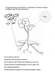 English Worksheet: Easy photosynthesis