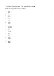 English Worksheet: Words that sound the same but mean different things