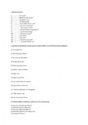 English Worksheet: Present Simple : Do, DOes