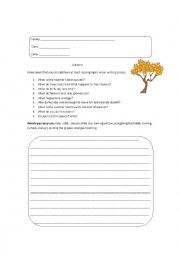 English Worksheet: Autumn Essay