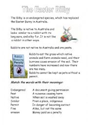 English Worksheet: The Easter Bilby