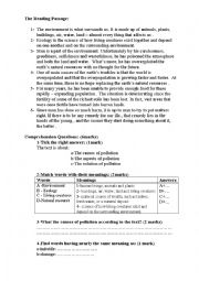 English Worksheet: Reading about pollution