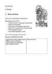 English Worksheet: Rainforest in danger