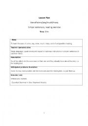 English Worksheet: Lesson Plan Use of some/any/much/many