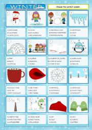 English Worksheet: Winter