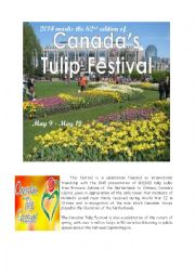 English Worksheet: The Canadian Tulip festival