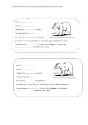 English Worksheet: Black Bear 