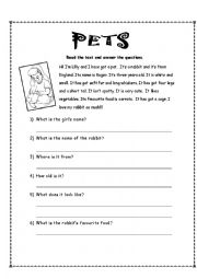 English Worksheet: PETS