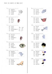 English Worksheet: body parts