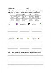 English worksheet: Animal classification and sentences