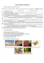 English Worksheet: Fulecos Biography