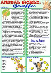 English Worksheet: Animal World: Giraffes