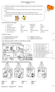 English Worksheet: Reading Comprehension Test