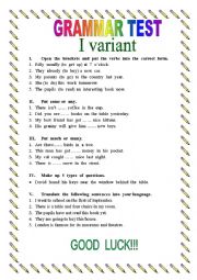 English Worksheet: Grammar Test