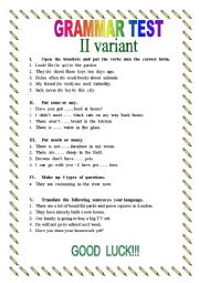 English Worksheet: Grammar Test