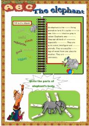 English Worksheet: the elephant