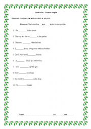 English Worksheet: Verb to be Test