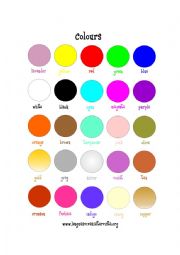 Colours flash card