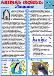 English Worksheet: Animal World: Penguins